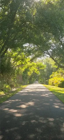 505 E Gulley Avenue Oakland FL 34787