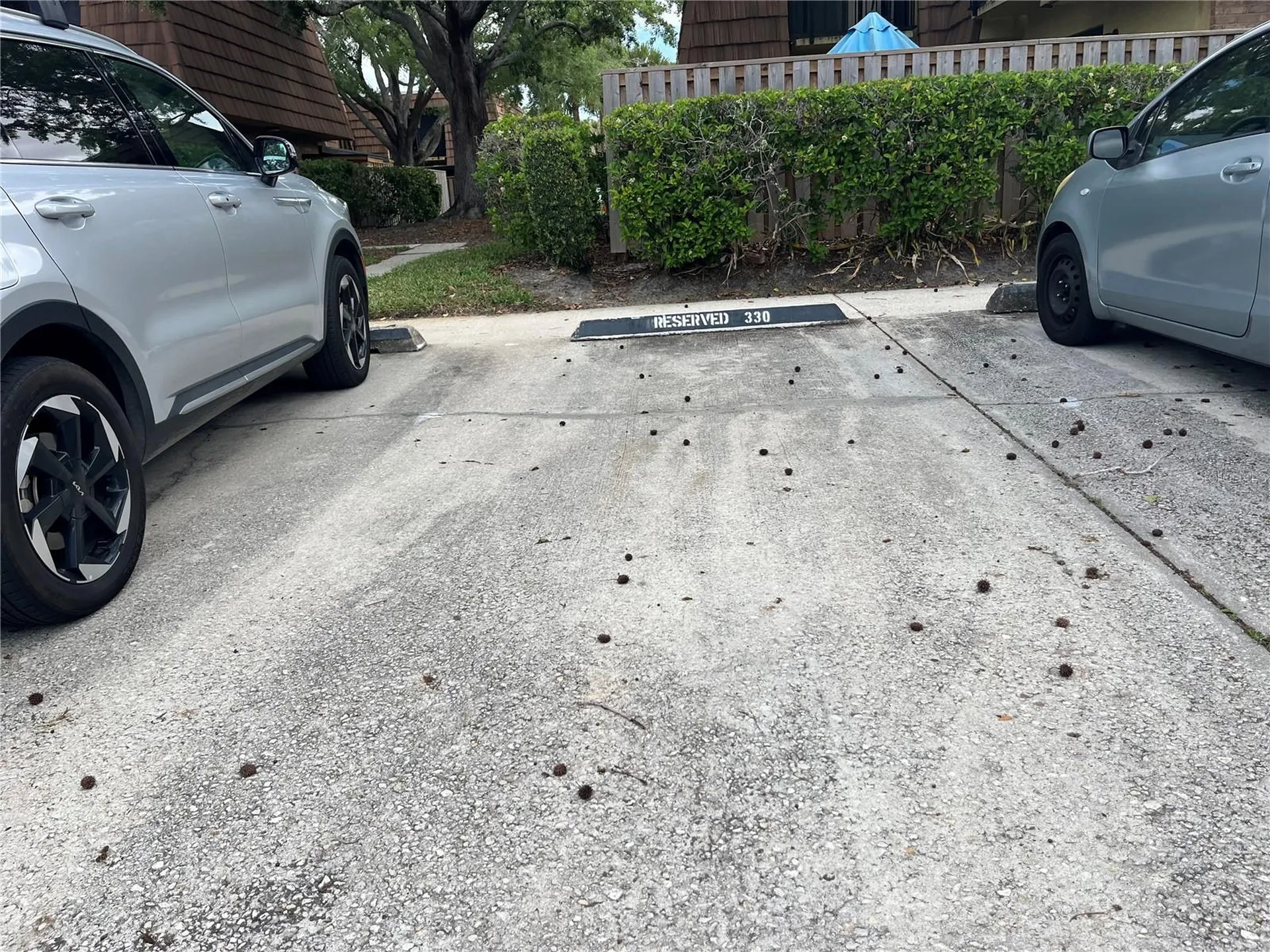 5361 Elm Court Orlando FL 32811