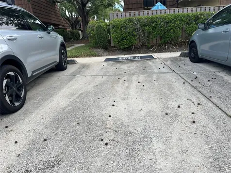 5361 Elm Court Orlando FL 32811