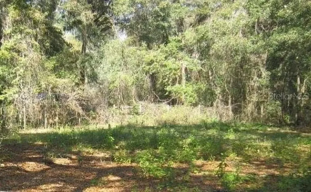 2285 NW 65th Place Ocala FL 34475