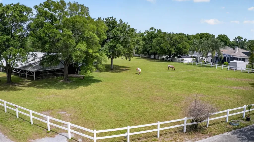 3026 Lake Padgett Drive Land O Lakes FL 34639