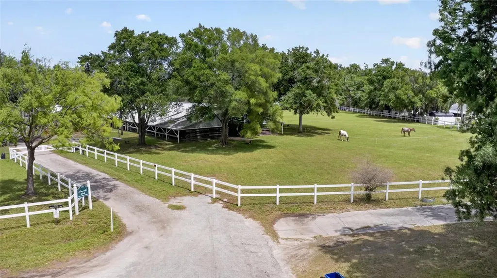 3026 Lake Padgett Drive Land O Lakes FL 34639