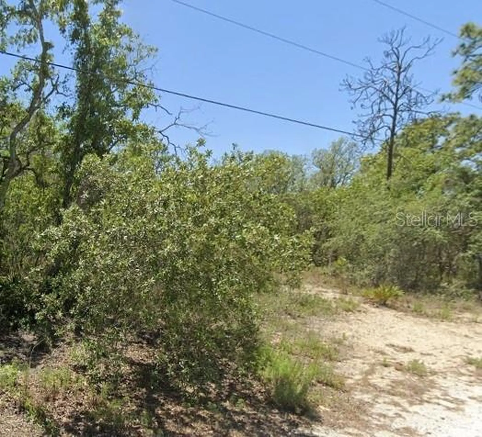 5276 W Winter Sun Lane Homosassa FL 34446