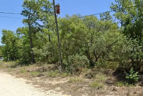 5276 W Winter Sun Lane Homosassa FL 34446