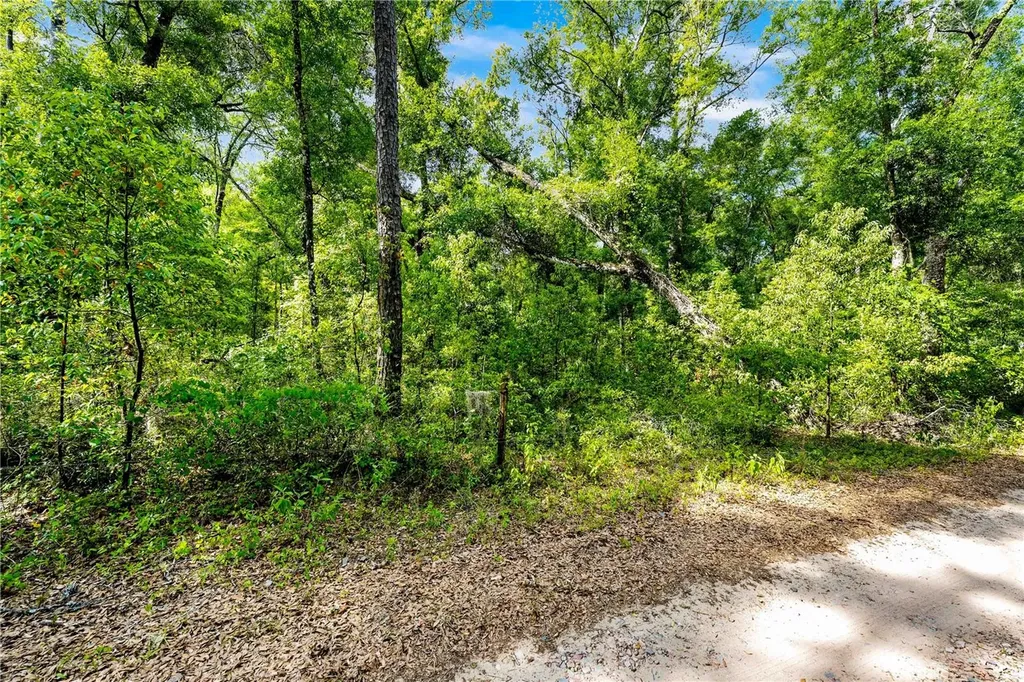 0 Lager Street Brooksville FL 34602