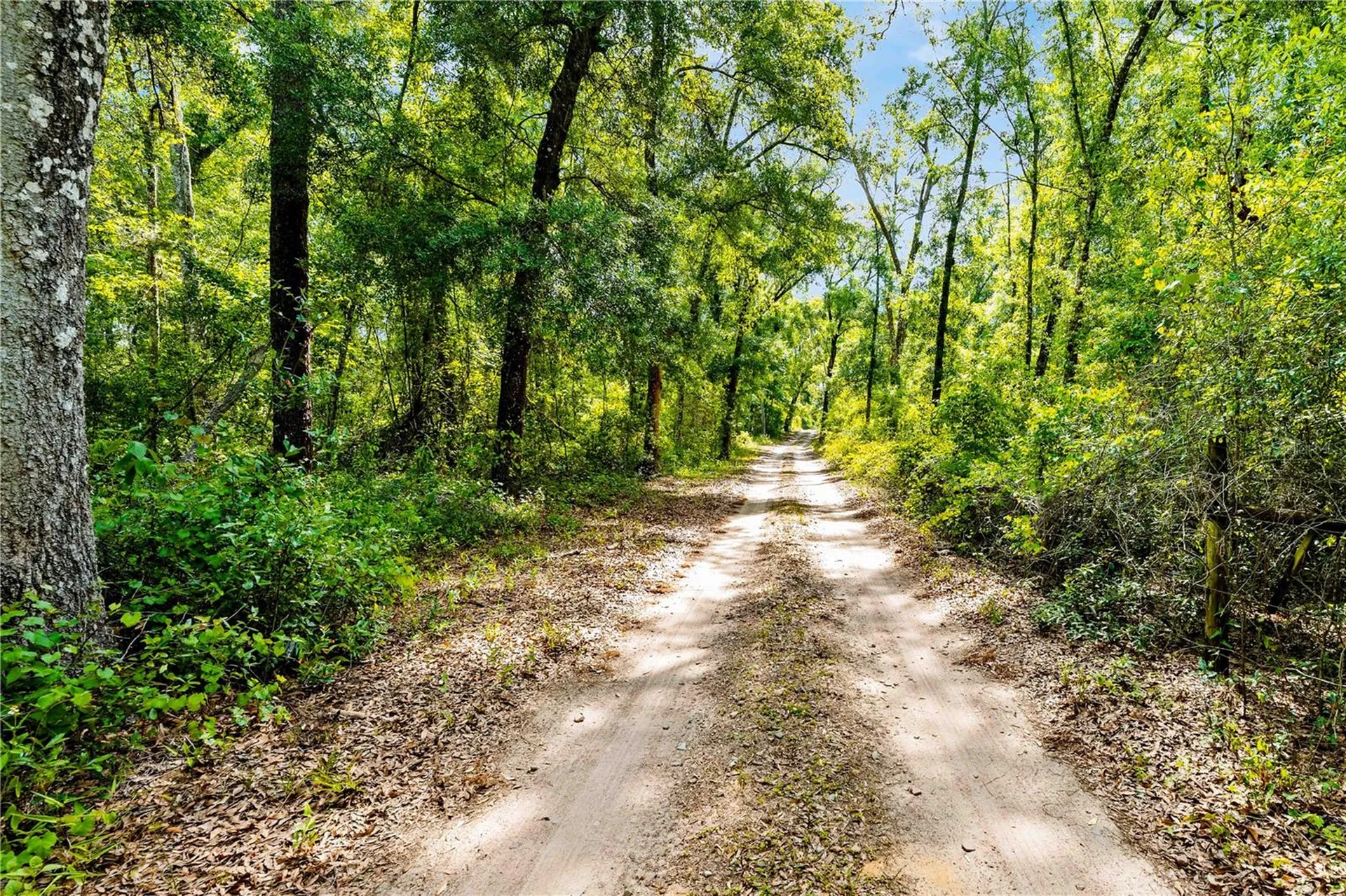 0 Lager Street Brooksville FL 34602