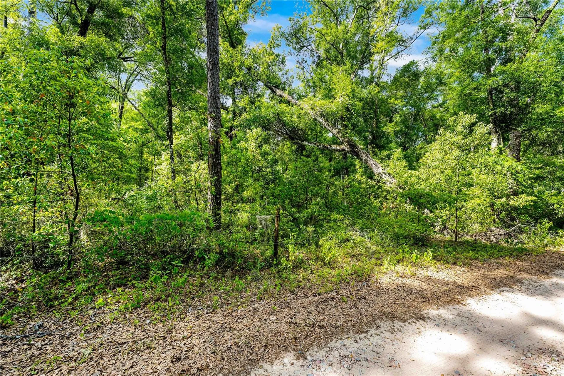 0 Lager Street Brooksville FL 34602