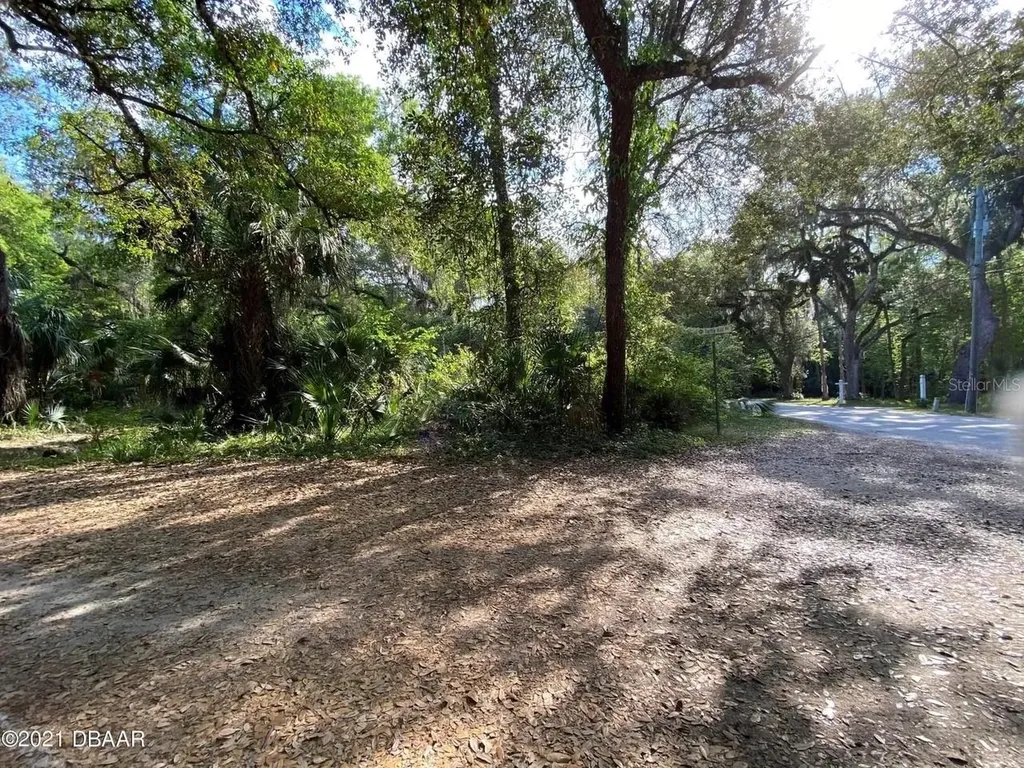 1877 Turtle Hill Road Deltona FL 32725