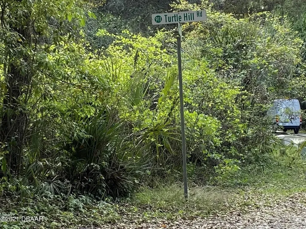 1877 Turtle Hill Road Deltona FL 32725