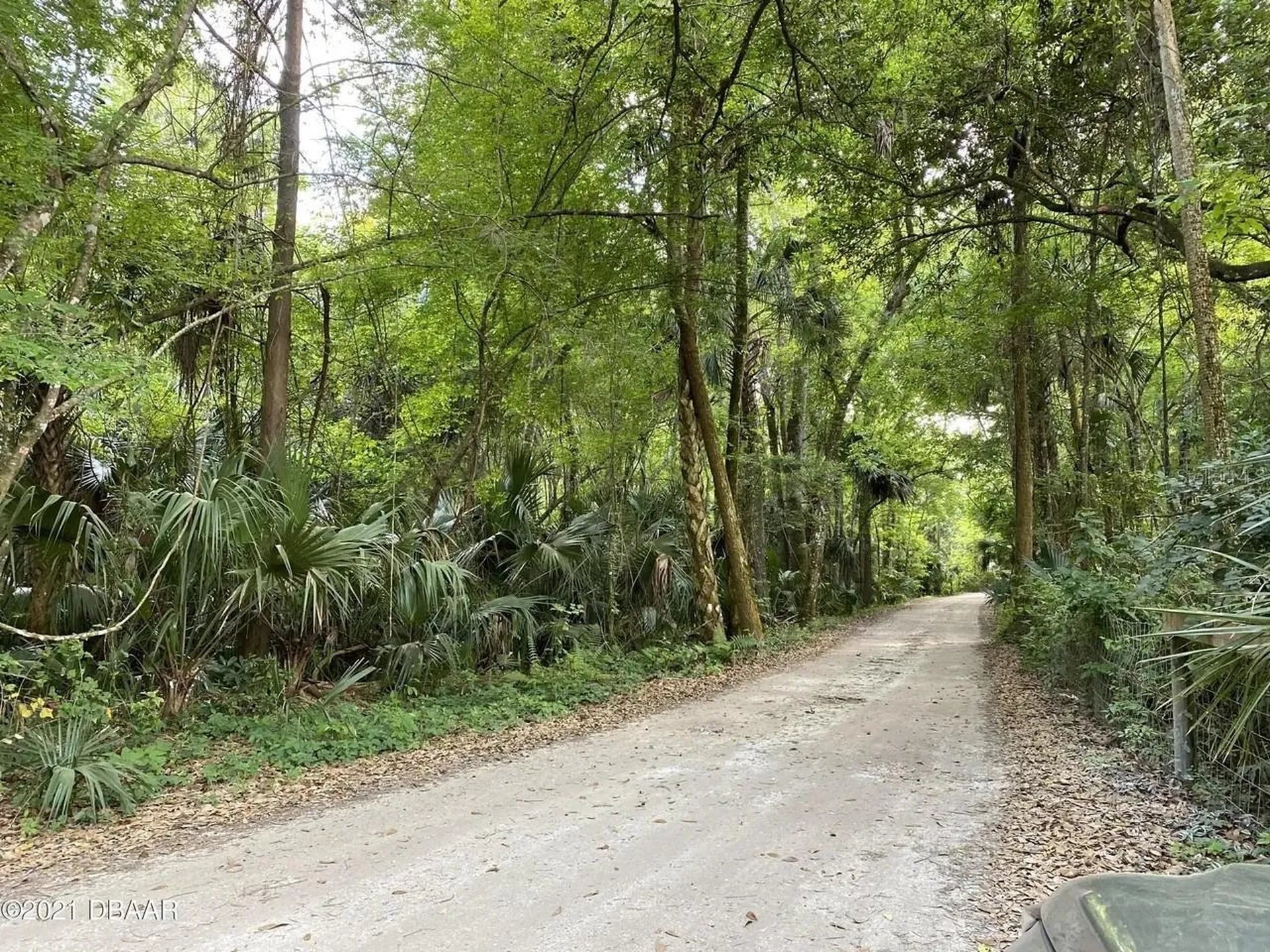 1877 Turtle Hill Road Deltona FL 32725