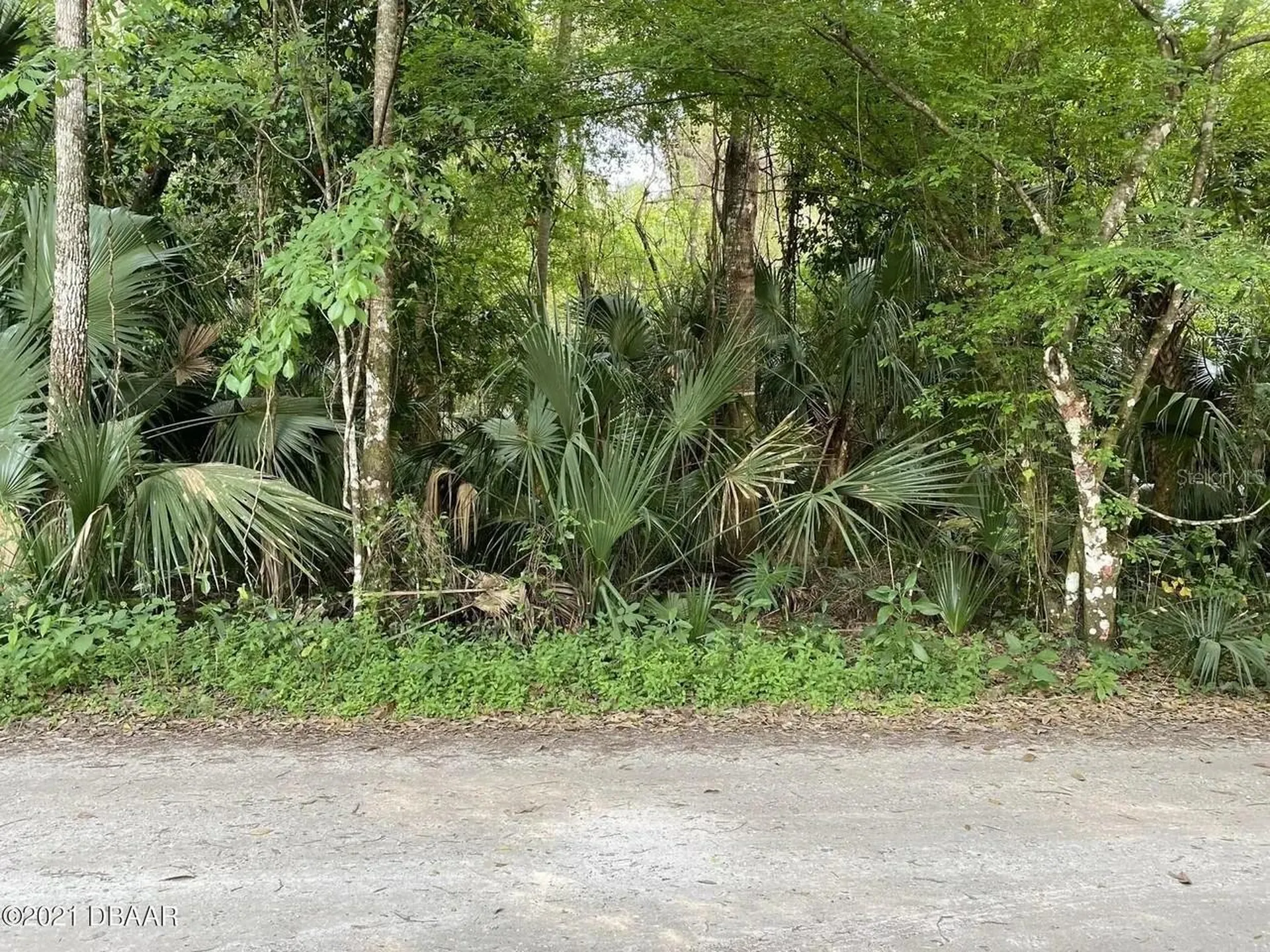 1877 Turtle Hill Road Deltona FL 32725