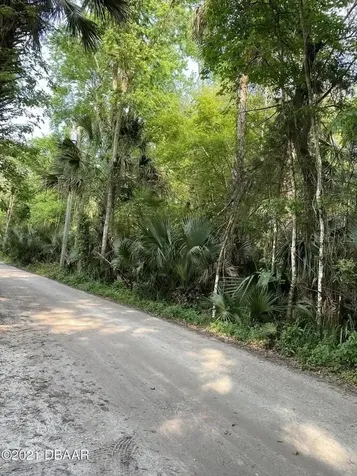1877 Turtle Hill Road Deltona FL 32725