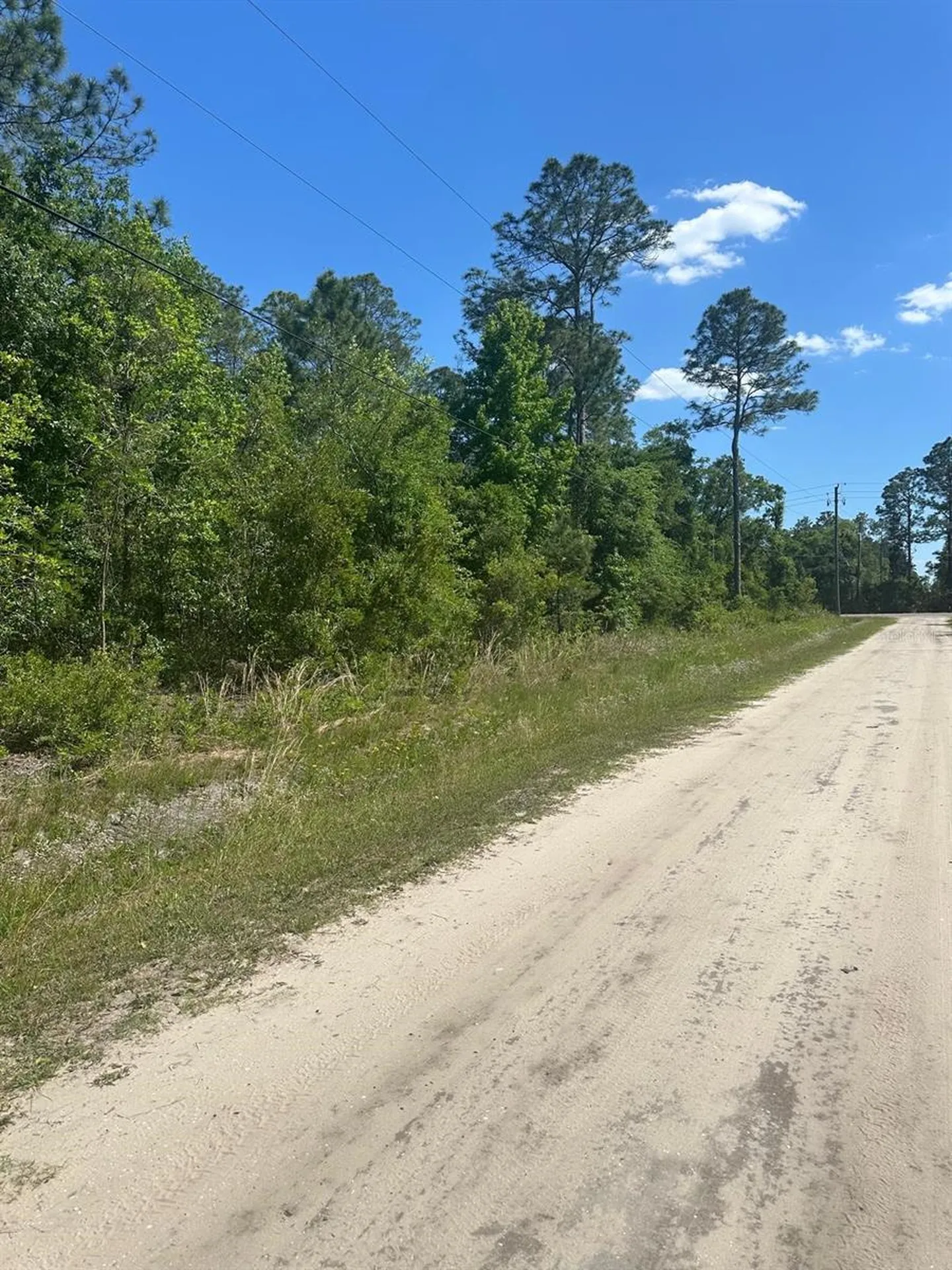 5230 Cedar Ford Boulevard Hastings FL 32145
