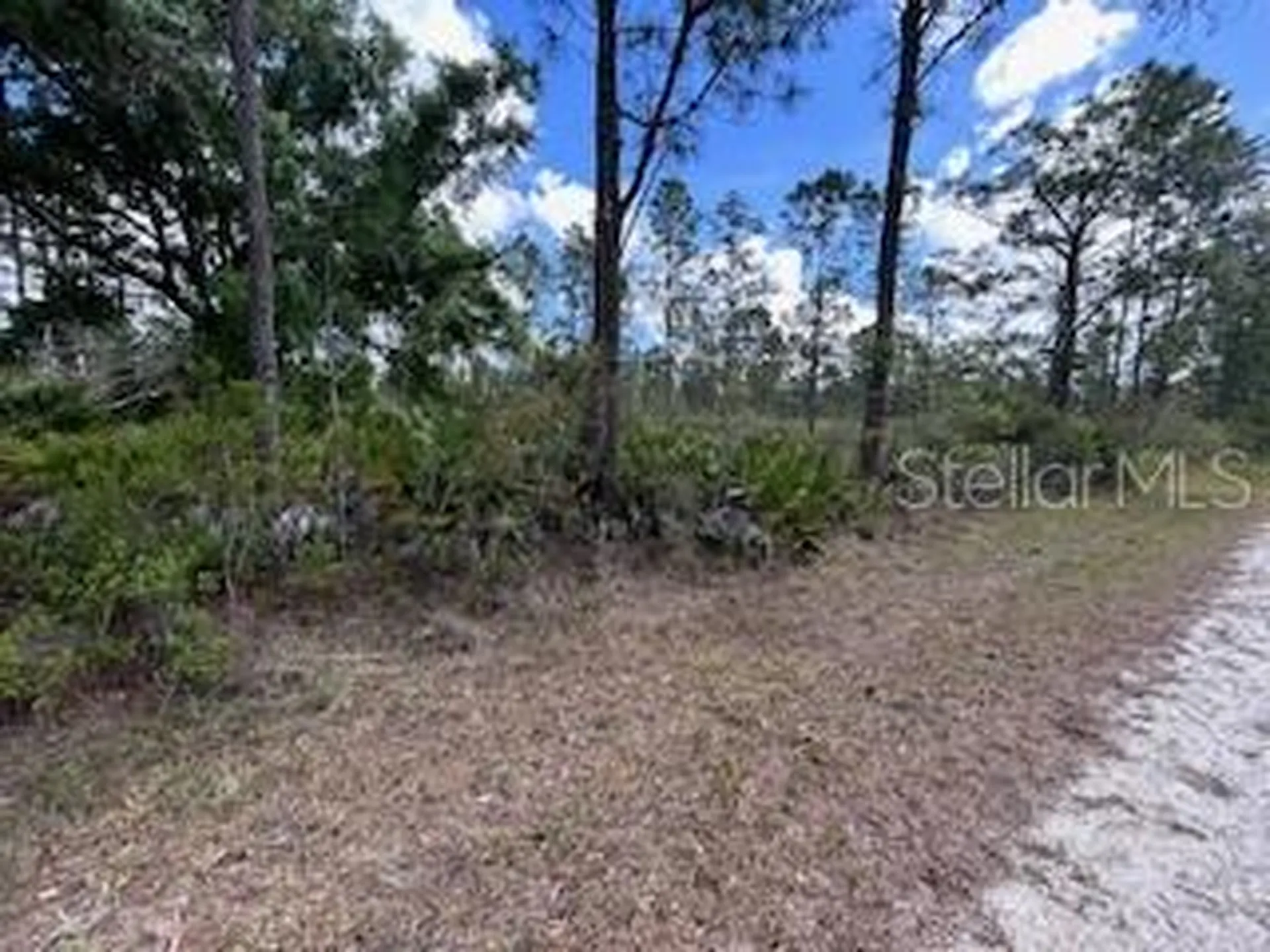 622 Laguna Drive Indian Lake Estates FL 33855