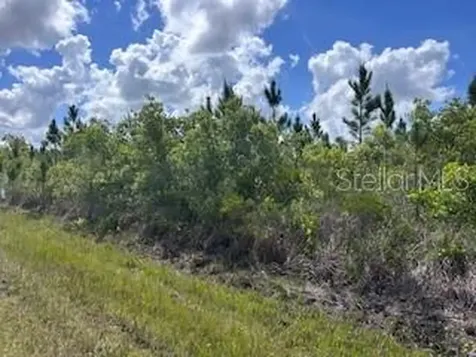 115 Japonica Avenue Indian Lake Estates FL 33855