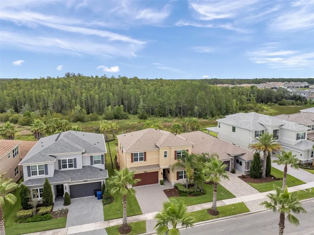 32203 Mahogany Valley Drive Wesley Chapel FL 33543