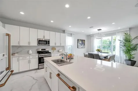 32203 Mahogany Valley Drive Wesley Chapel FL 33543