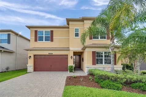 32203 Mahogany Valley Drive Wesley Chapel FL 33543