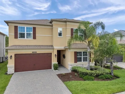 32203 Mahogany Valley Drive Wesley Chapel FL 33543