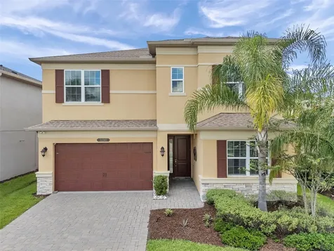 32203 Mahogany Valley Drive Wesley Chapel FL 33543