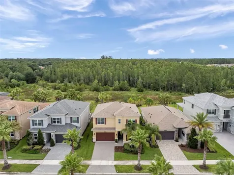 32203 Mahogany Valley Drive Wesley Chapel FL 33543