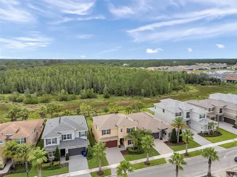 32203 Mahogany Valley Drive Wesley Chapel FL 33543