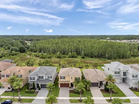 32203 Mahogany Valley Drive Wesley Chapel FL 33543