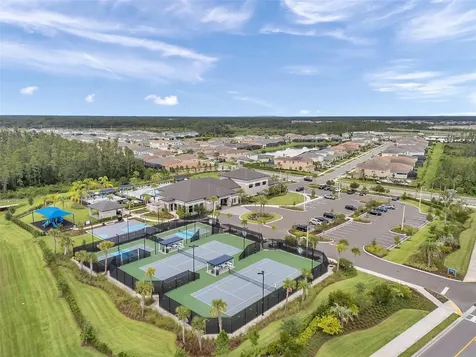 32203 Mahogany Valley Drive Wesley Chapel FL 33543