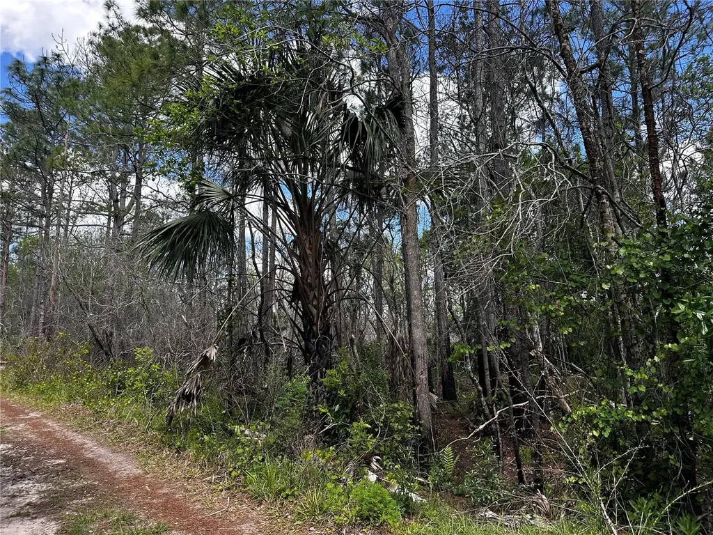 00 Kola Road New Smyrna Beach FL 32168