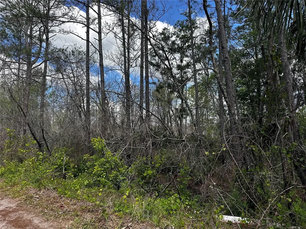 00 Kola Road New Smyrna Beach FL 32168