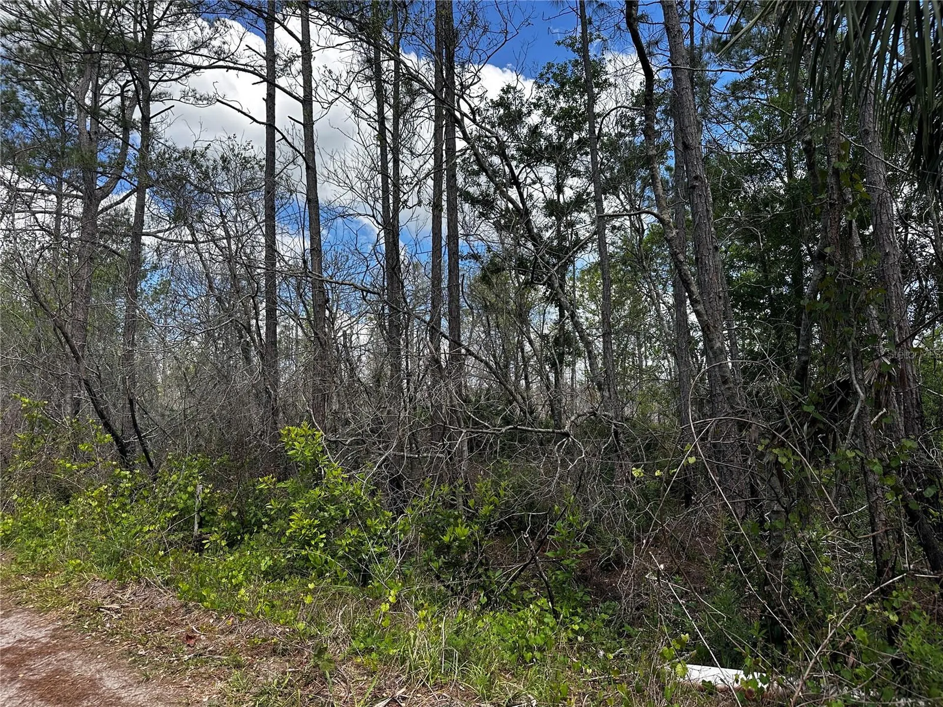 00 Kola Road New Smyrna Beach FL 32168