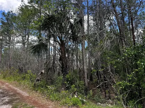00 Kola Road New Smyrna Beach FL 32168