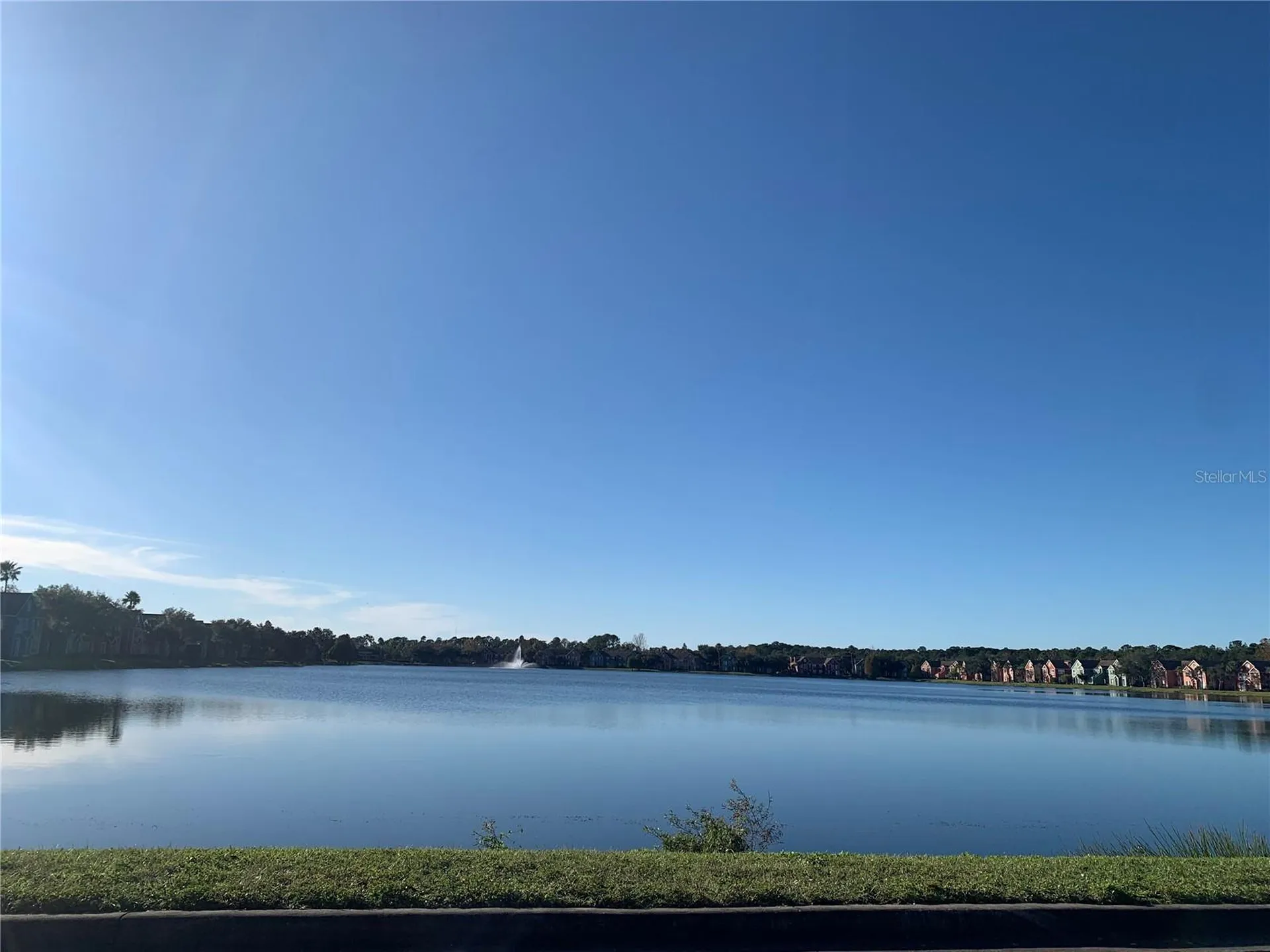 10416 White Lake Court Tampa FL 33626