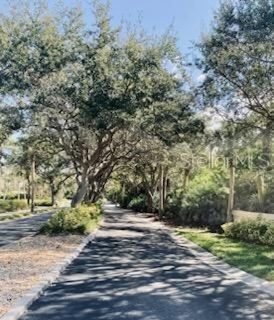 250 Minorca Beach Way New Smyrna Beach FL 32169