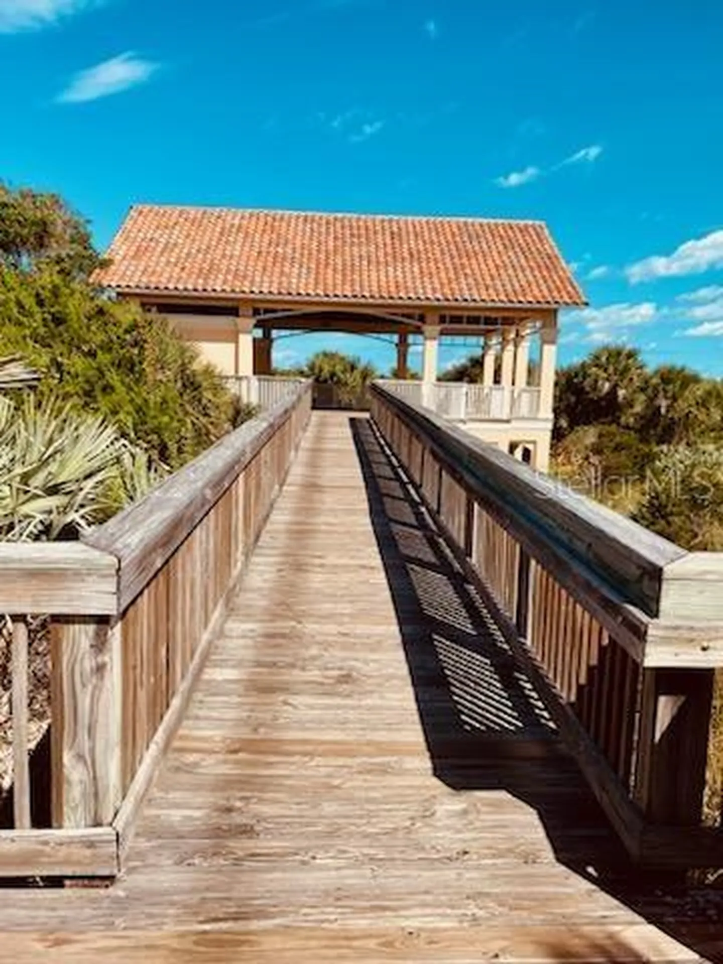 250 Minorca Beach Way New Smyrna Beach FL 32169