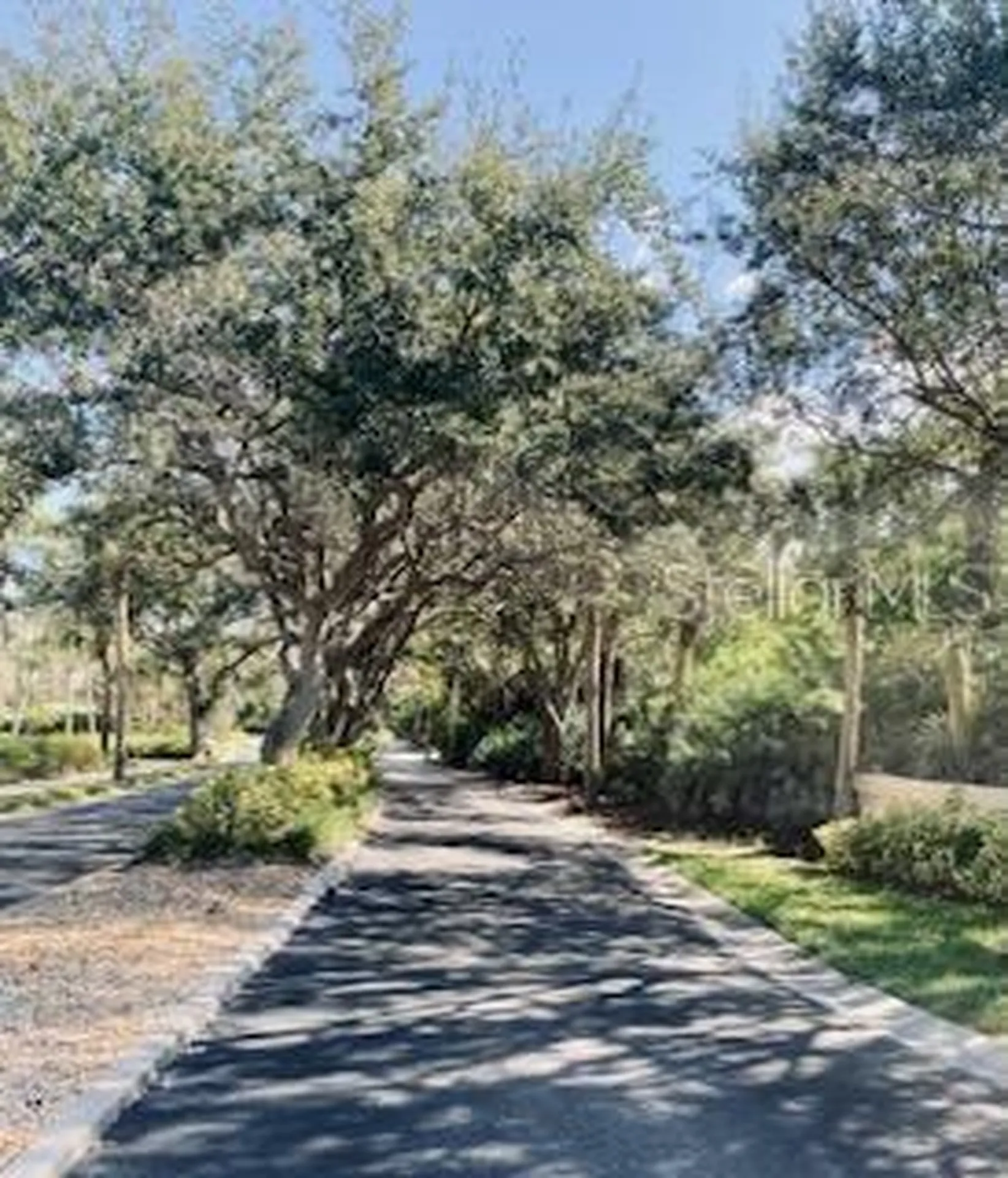 250 Minorca Beach Way New Smyrna Beach FL 32169