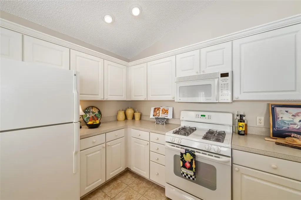 1426 Janeann Terrace The Villages FL 32162