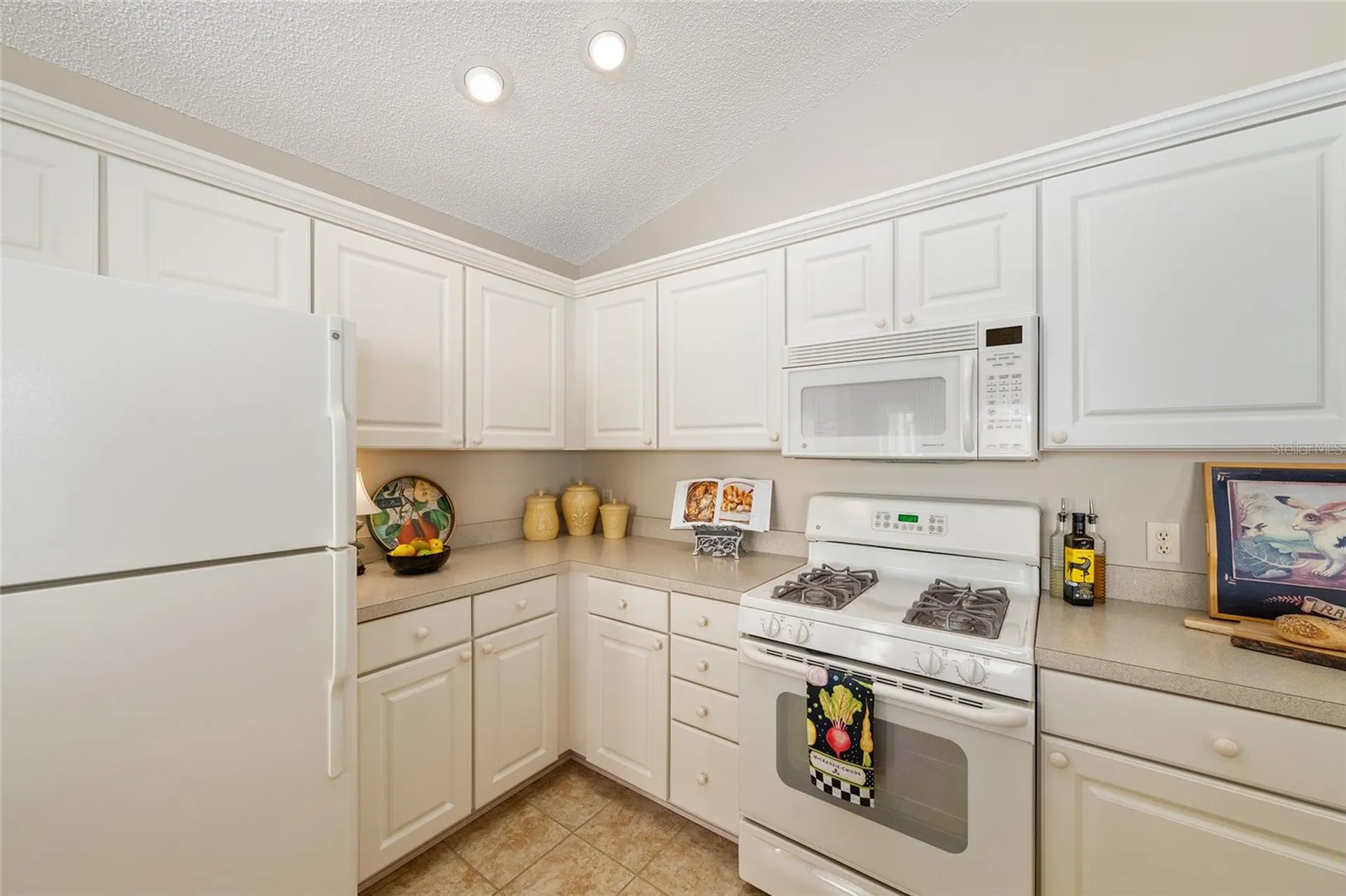1426 Janeann Terrace The Villages FL 32162