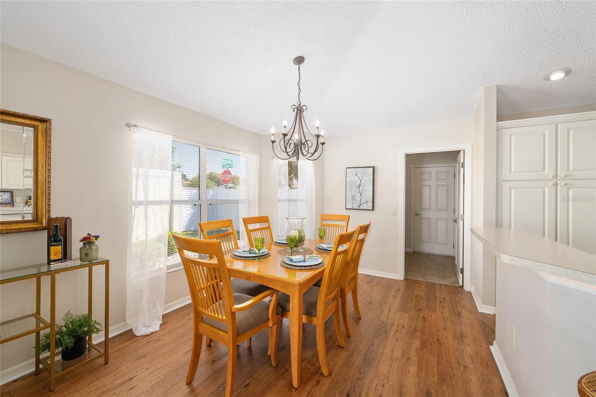 1426 Janeann Terrace The Villages FL 32162