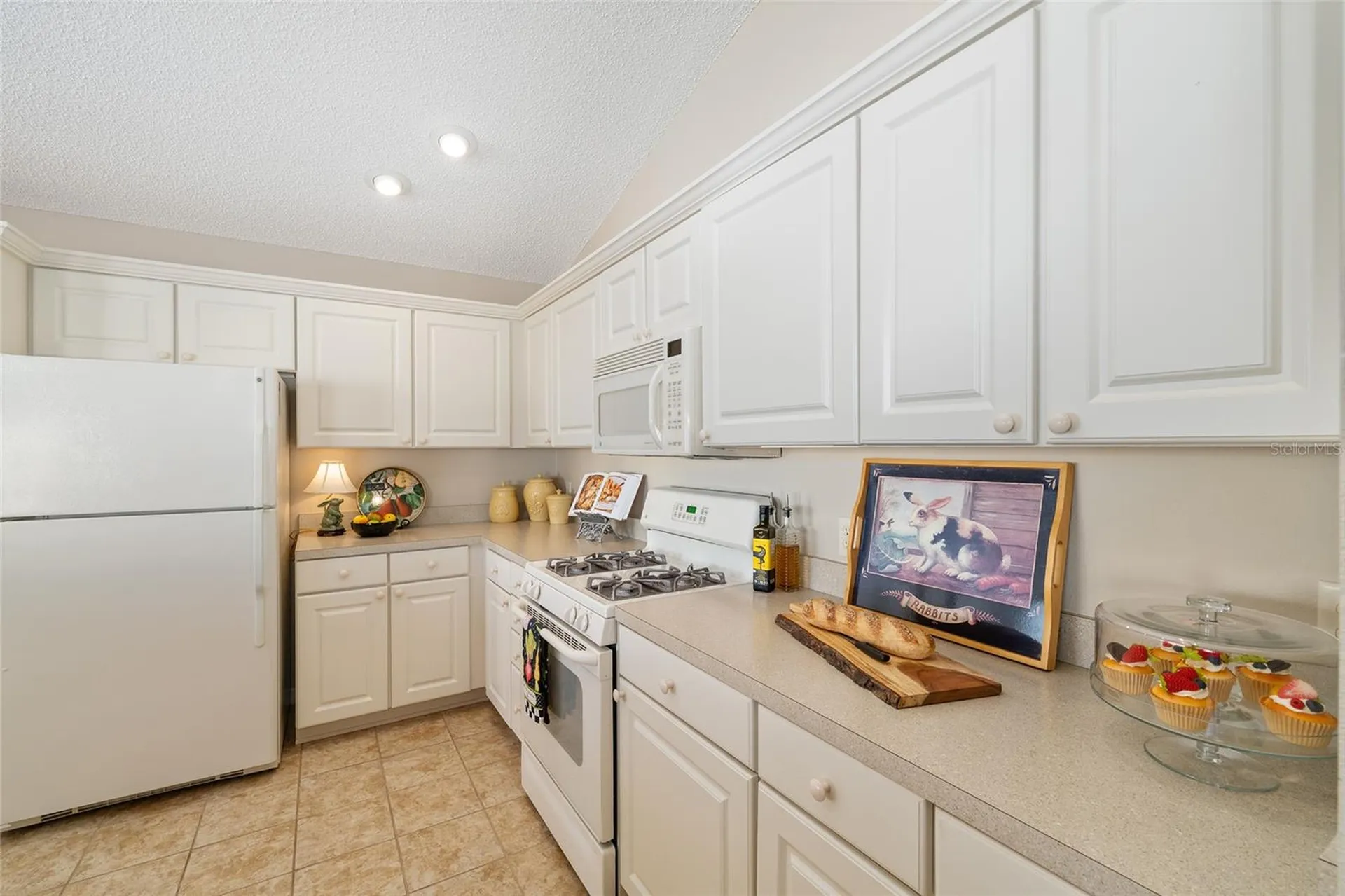 1426 Janeann Terrace The Villages FL 32162