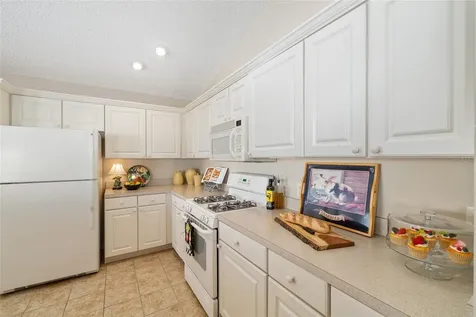 1426 Janeann Terrace The Villages FL 32162