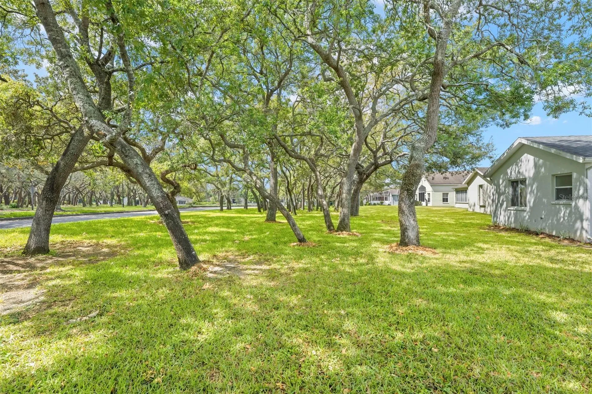 432 Mistwood Court Spring Hill FL 34609