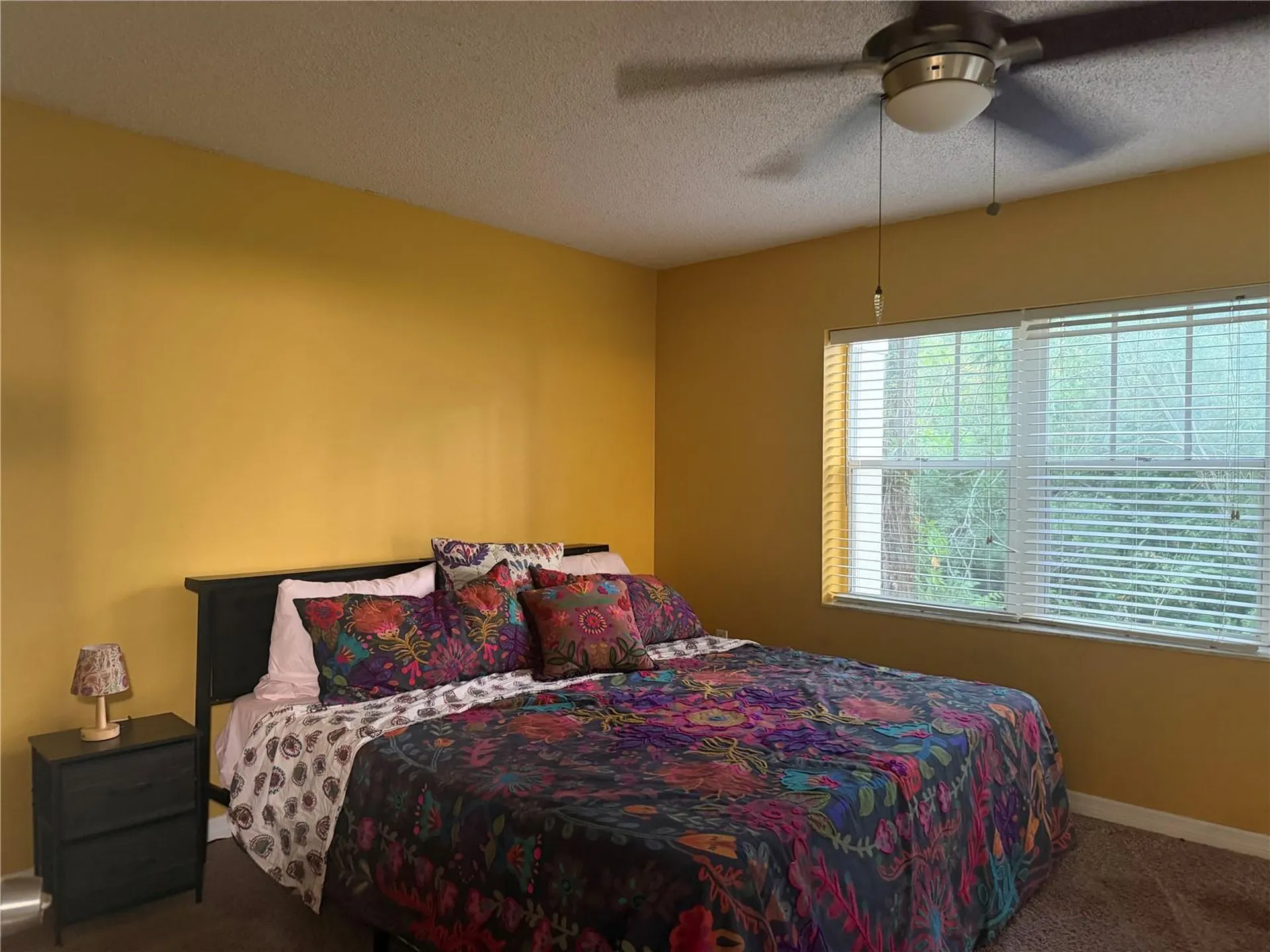 2511 2511 Dolly Bay Drive Palm Harbor FL 34684