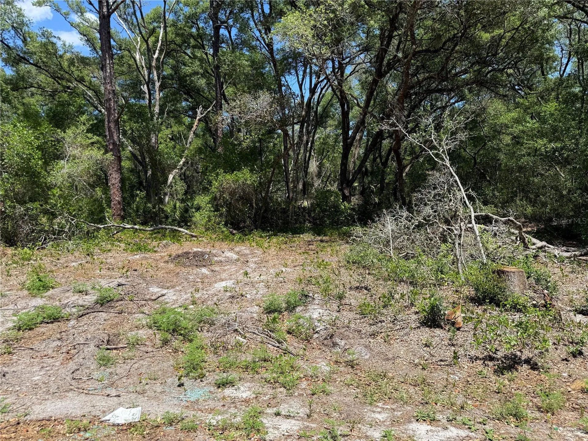 Fischer Lane Court Ocklawaha FL 32179