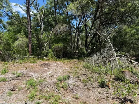 Fischer Lane Court Ocklawaha FL 32179