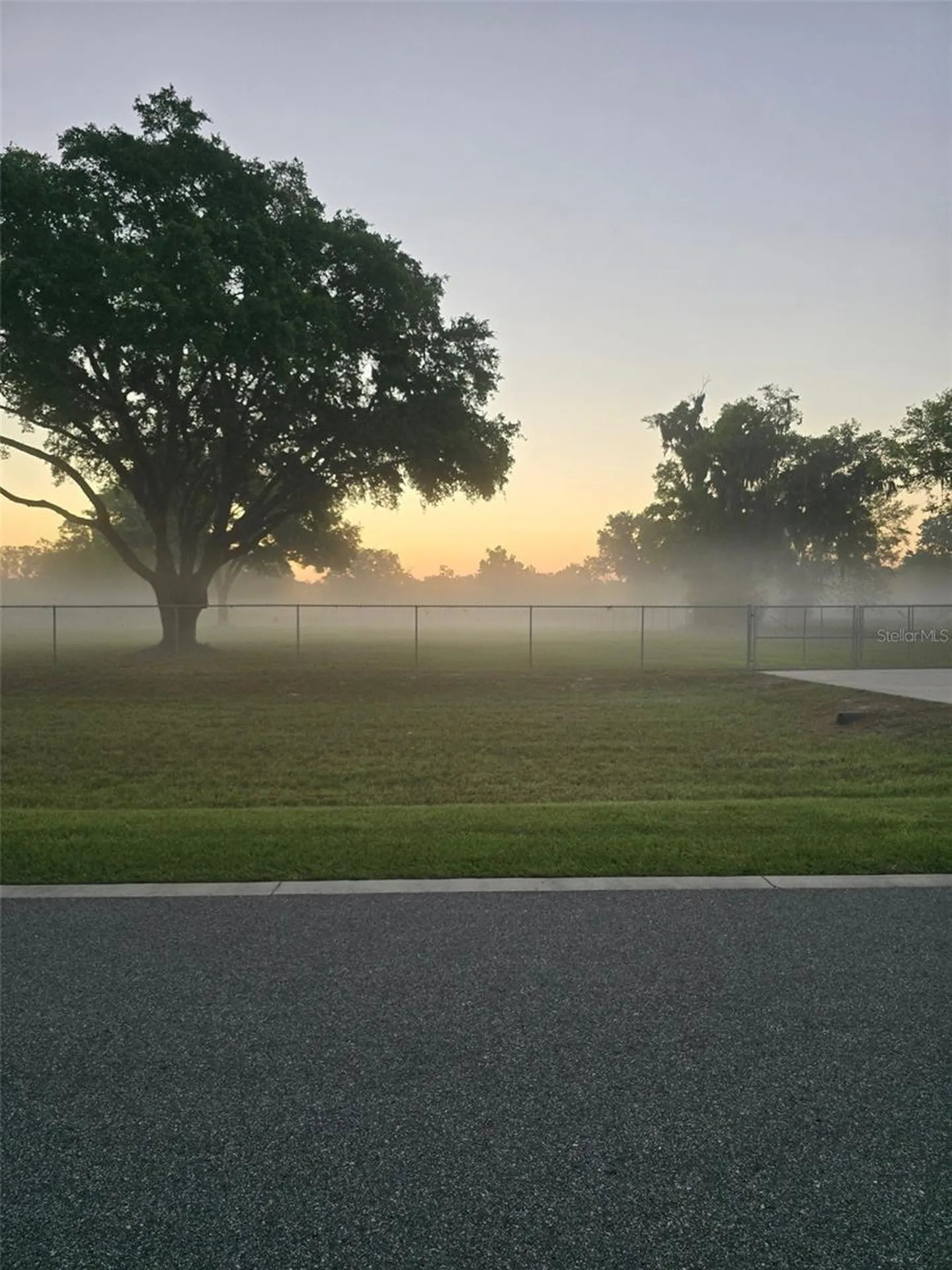 980 Duck Box Road Umatilla FL 32784
