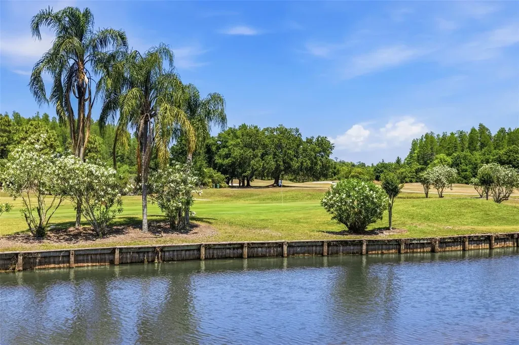 18924 Fishermans Bend Drive Lutz FL 33558