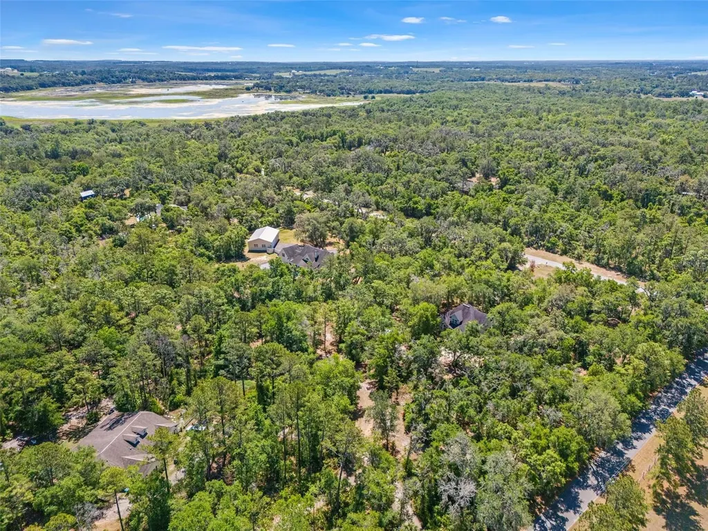 23305 June Bug Trail Brooksville FL 34602
