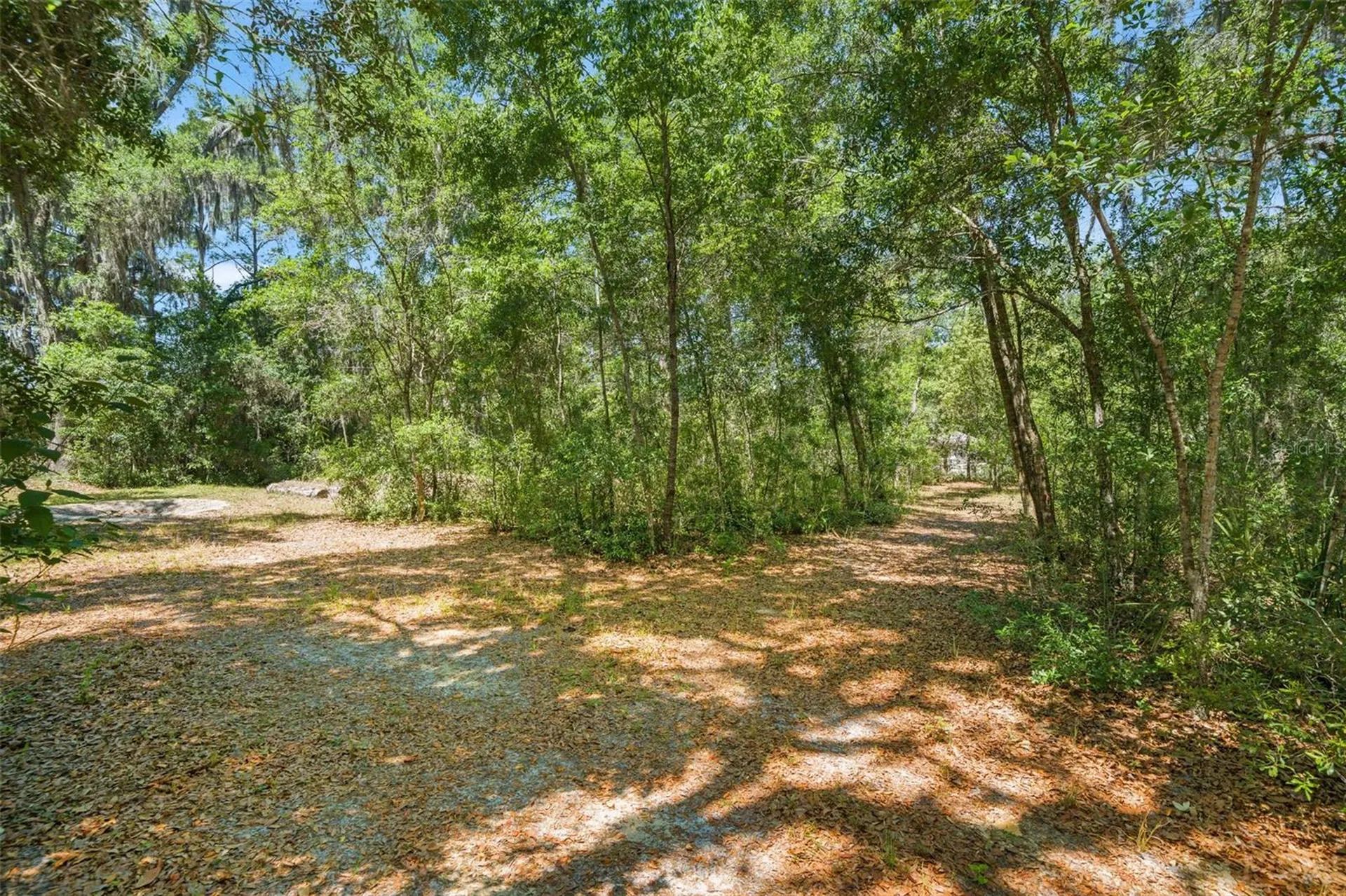 23305 June Bug Trail Brooksville FL 34602