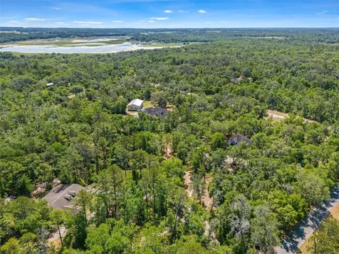 23305 June Bug Trail Brooksville FL 34602